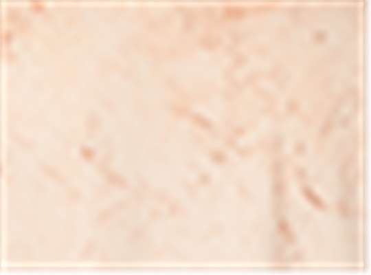 Swatch for Umber