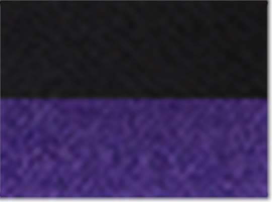Swatch for Black/ Purple