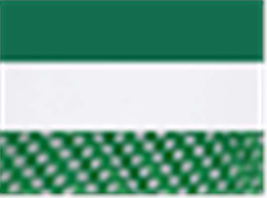 Swatch for Kelly/ White/ Kelly