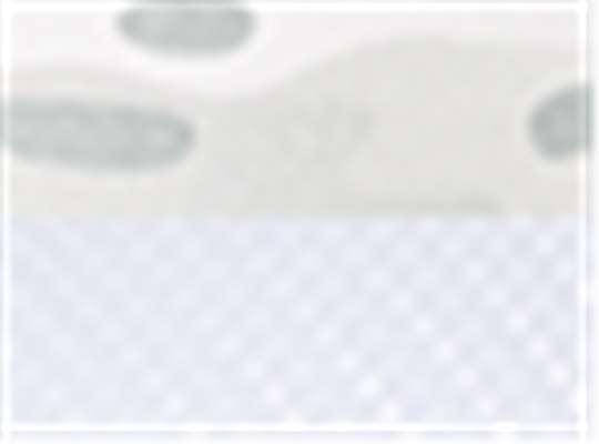 Swatch for Multicam Alpine/ White