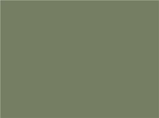 Swatch for Military Green