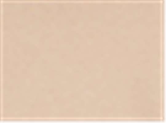 Swatch for Khaki