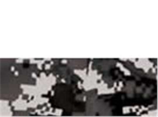 Swatch for White/ Black