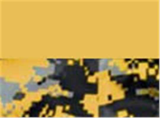 Swatch for Gold/ Gold