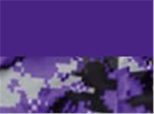 Swatch for Purple/ Purple