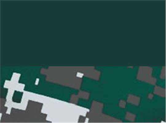 Swatch for Forest/ Forest