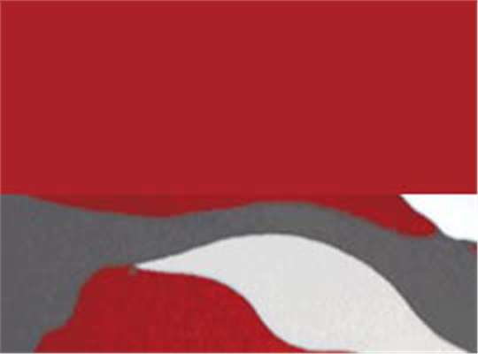 Swatch for Red/ Red Camo