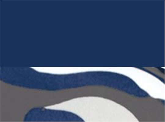 Swatch for Navy/ Navy Camo