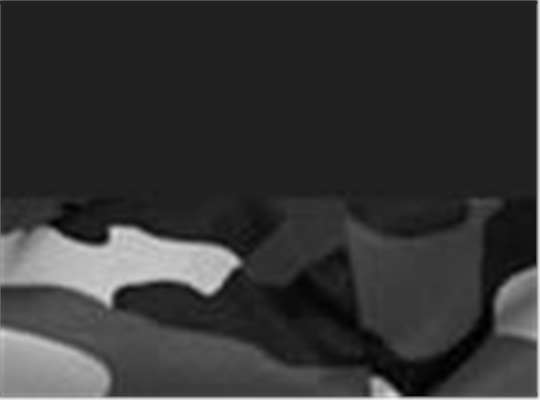Swatch for Black/ White Camo