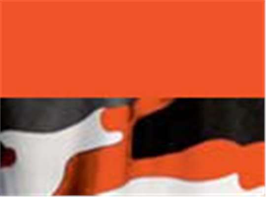 Swatch for Burnt Orange/ Burnt Orange Camo