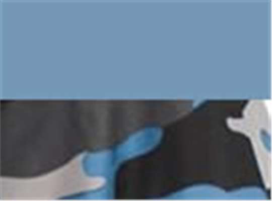 Swatch for Columbia Blue/ Columbia Blue Camo
