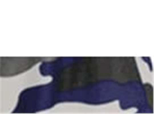 Swatch for White/ Navy Camo