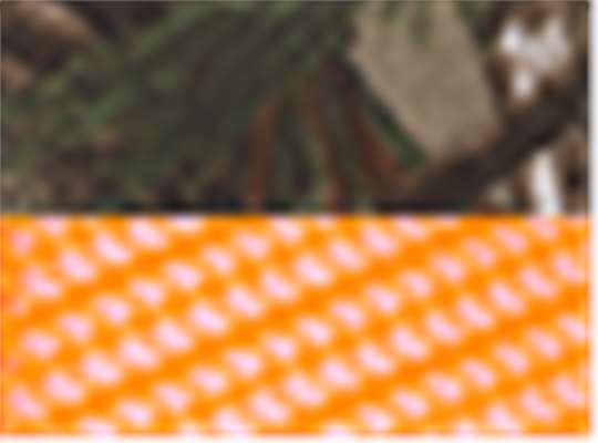 Swatch for Realtree Ap/ Neon Orange