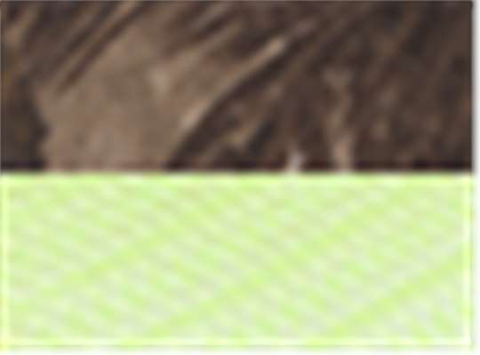 Swatch for Realtree Ap/ Neon Yellow