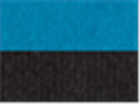Swatch for Turquoise/ Black
