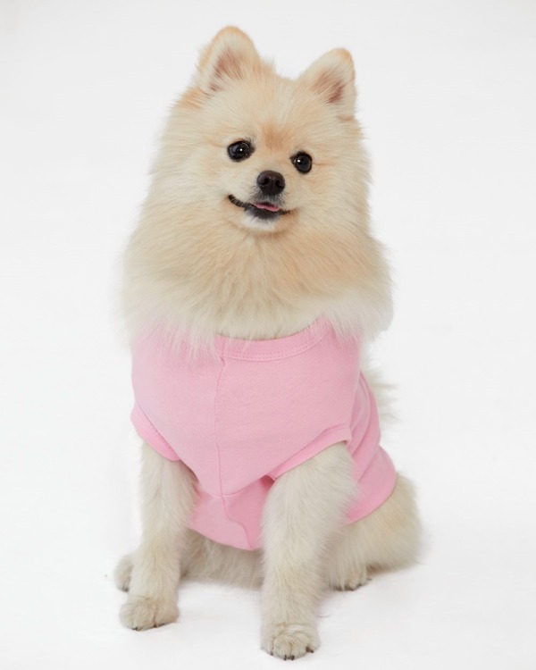 3902 Doggie Skins