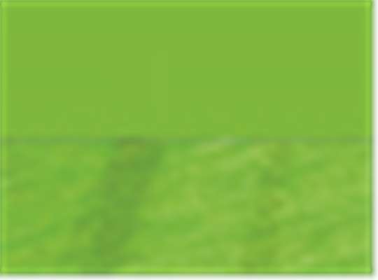 Swatch for Lime Tonal Blend