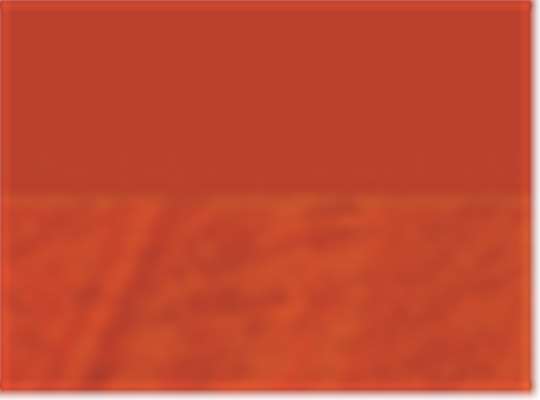 Swatch for Burnt Orange Tonal Blend