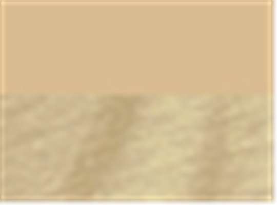 Swatch for Vegas Gold Tonal Blend