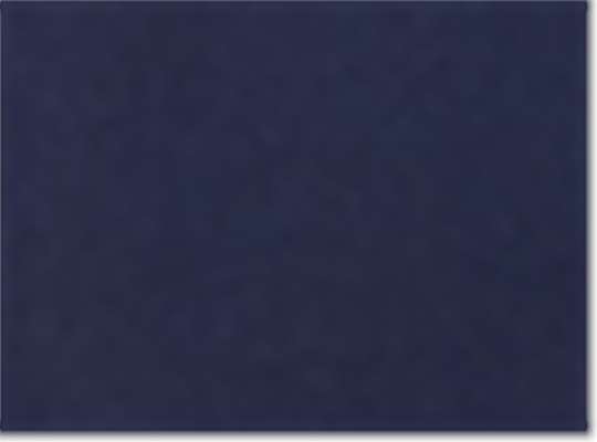 Swatch for Navy