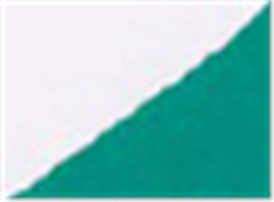 Swatch for White/ Evergreen