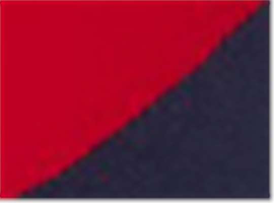 Swatch for Red/ Navy
