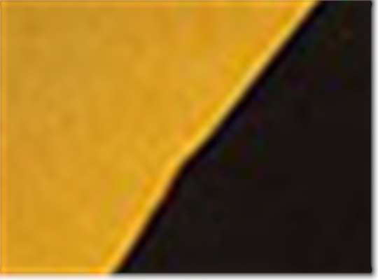 Swatch for Antique Gold/ Black