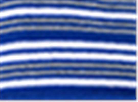 Swatch for Royal/ White/ Grey