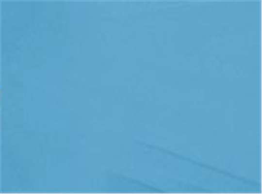 Swatch for Neptune