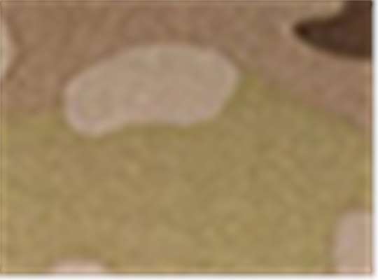 Swatch for Multicam Arid/ Brown