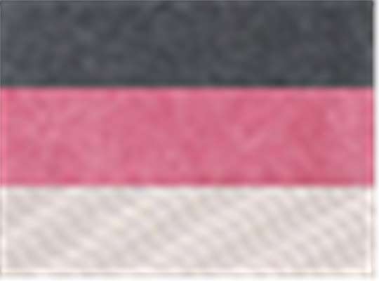Swatch for Black/ Cardinal/ Stone