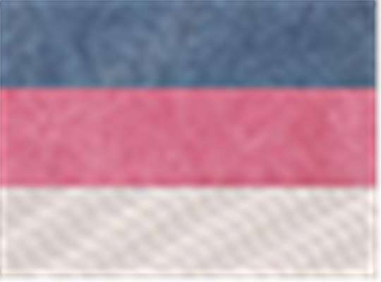 Swatch for Navy/ Cardinal/ Stone