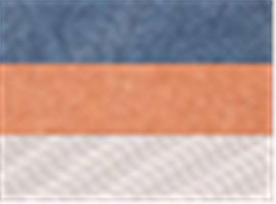 Swatch for Navy/ Texas/ Stone