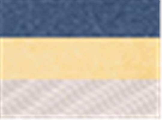 Swatch for Royal/ Mustard/ Stone