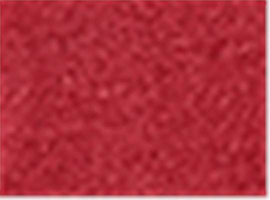 Swatch for Tech Red