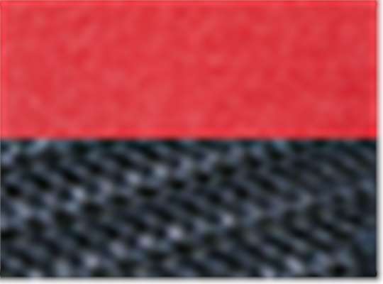 Swatch for Scarlet Red/ Navy