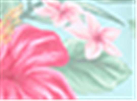 Swatch for Hawaiin Biome