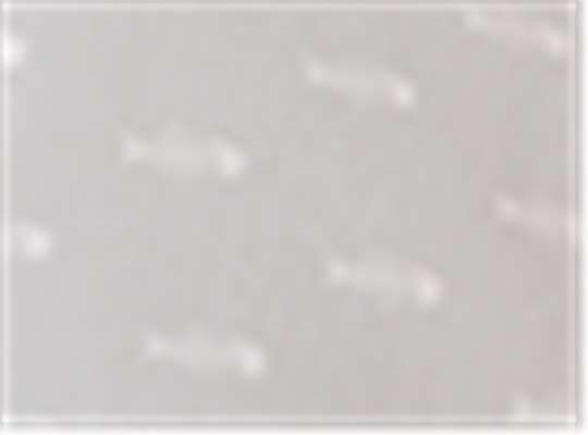 Swatch for Grey Bone Fish