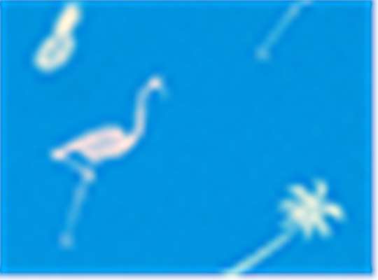 Swatch for Pacific Tropical