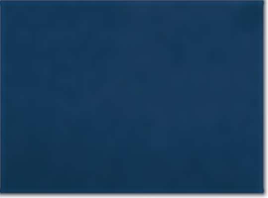 Swatch for Navy