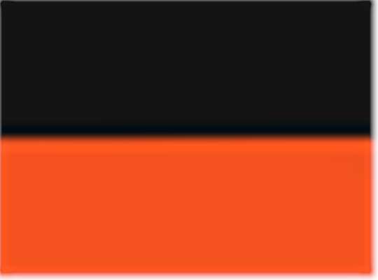 Swatch for Black/ Orange