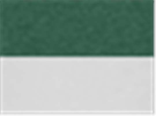 Swatch for Dark Green Heather/ White