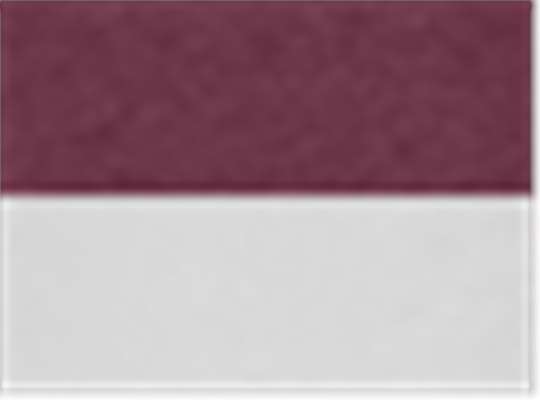 Swatch for Maroon Heather/ White