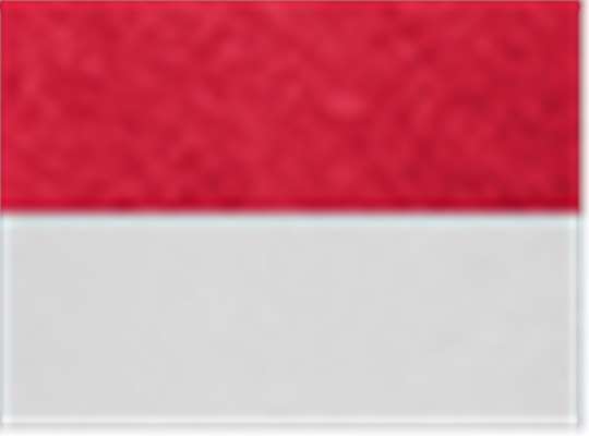 Swatch for Scarlet Heather/ White