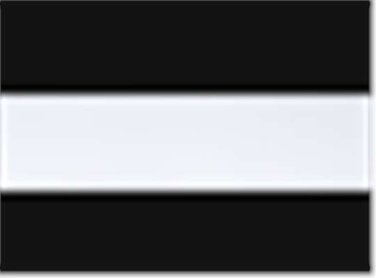 Swatch for Black/ White/ Black