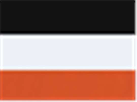 Swatch for Black/ White/ Orange