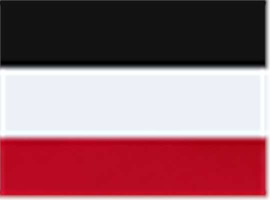 Swatch for Black/ White/ Scarlet
