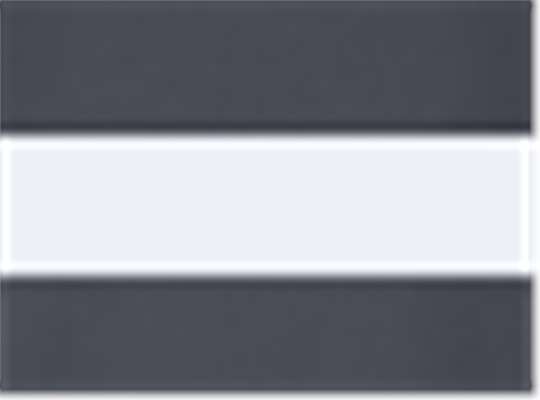 Swatch for Carbon/ White/ Carbon