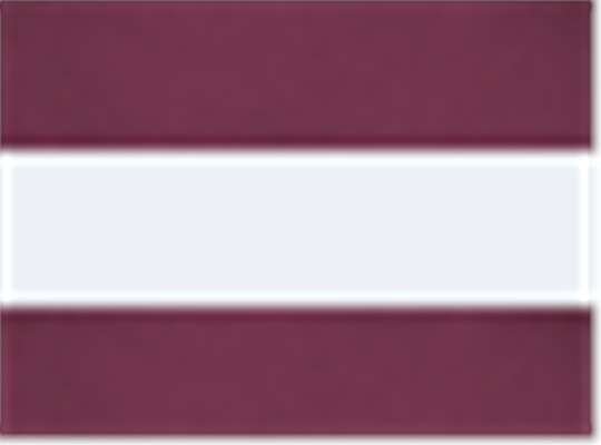 Swatch for Maroon/ White/ Maroon