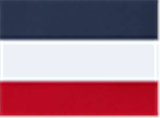 Swatch for Navy/ White/ Scarlet